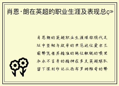 肖恩·朗在英超的职业生涯及表现总结